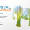 carnival of the animals teaching guide